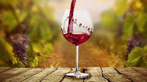 Vin rouge de Provence des Vignerons du Plan de la Tour